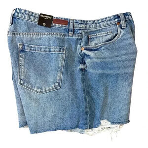 BLANK NYC | Distressed Shorts (32)